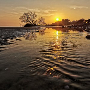 Atardecer luminoso