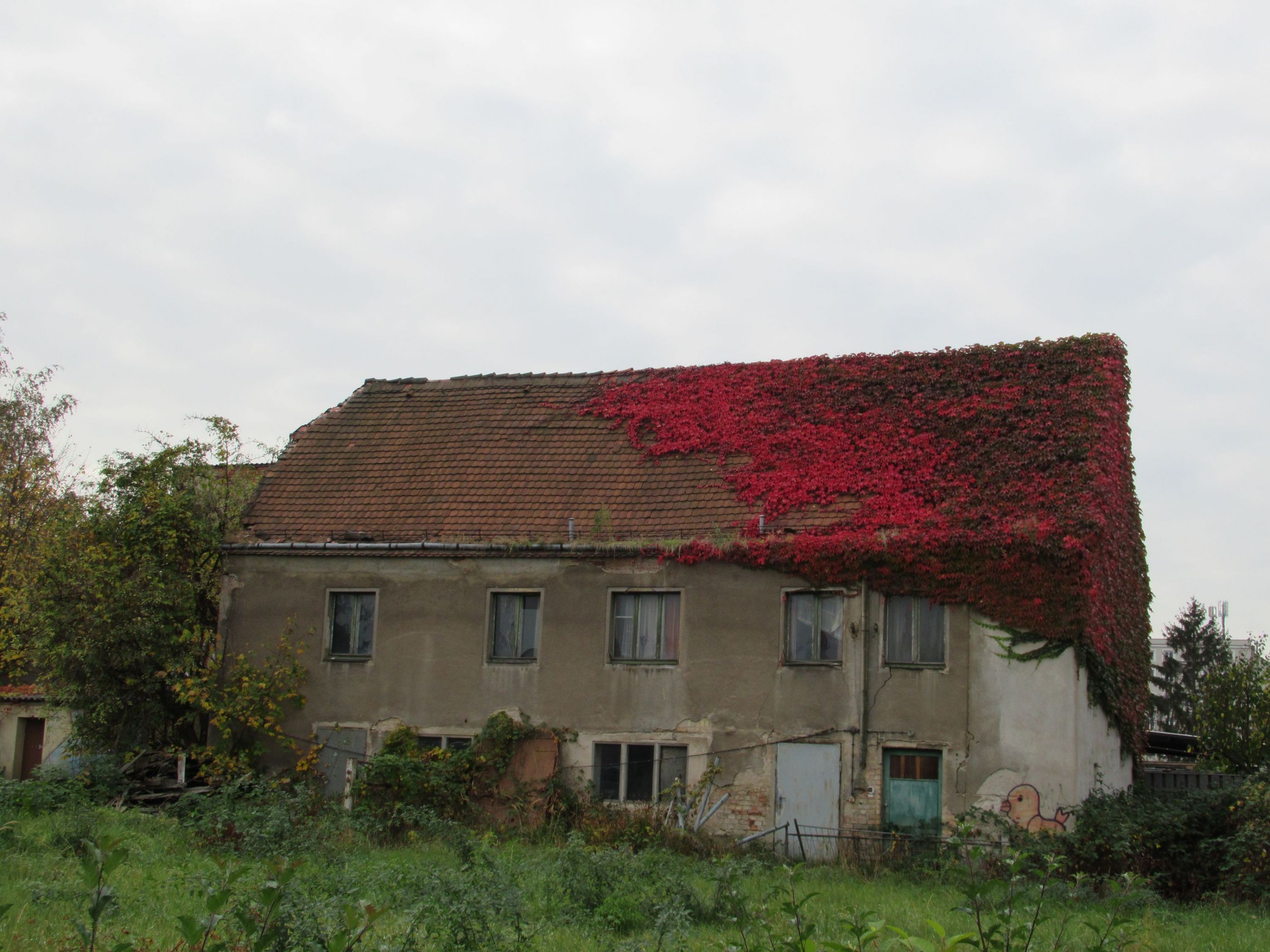 Natur vs Großstadt