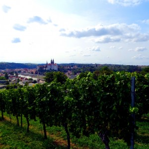 Weinstadt Meißen