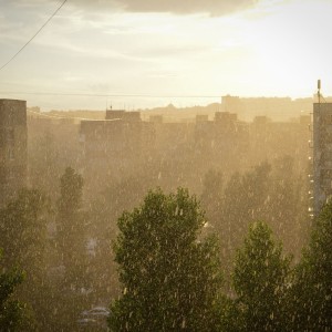 Summer rain in my window