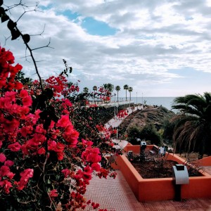 overflowing red in Tenerife