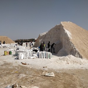 salt business in Gambia