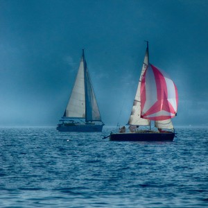 Sailing in the bay