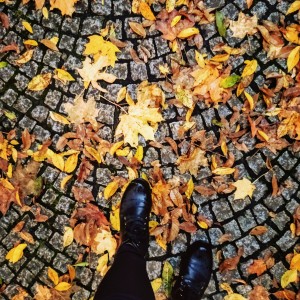 Chodník s listím