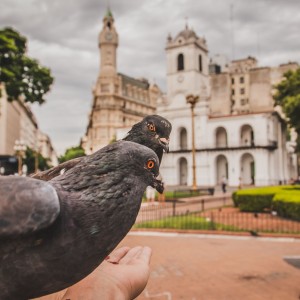 Plaza de Mayo - Buenos Aires