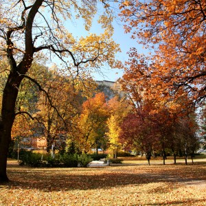 park v Trenčíne