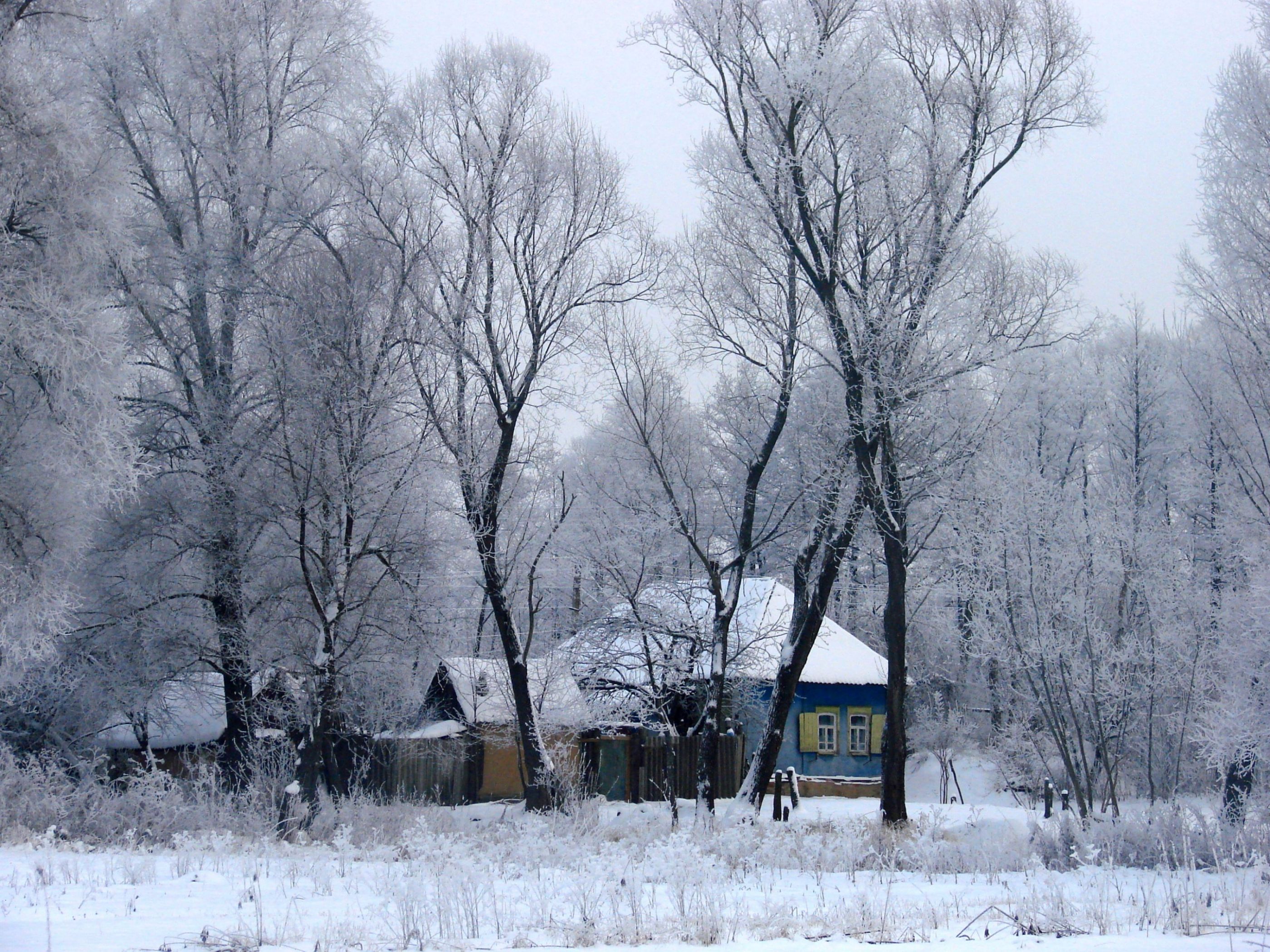 Winter rural landscape