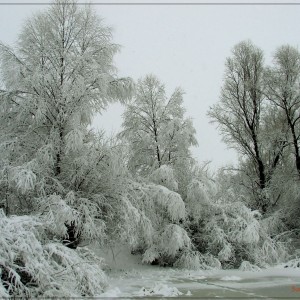 Winter  Ukraine