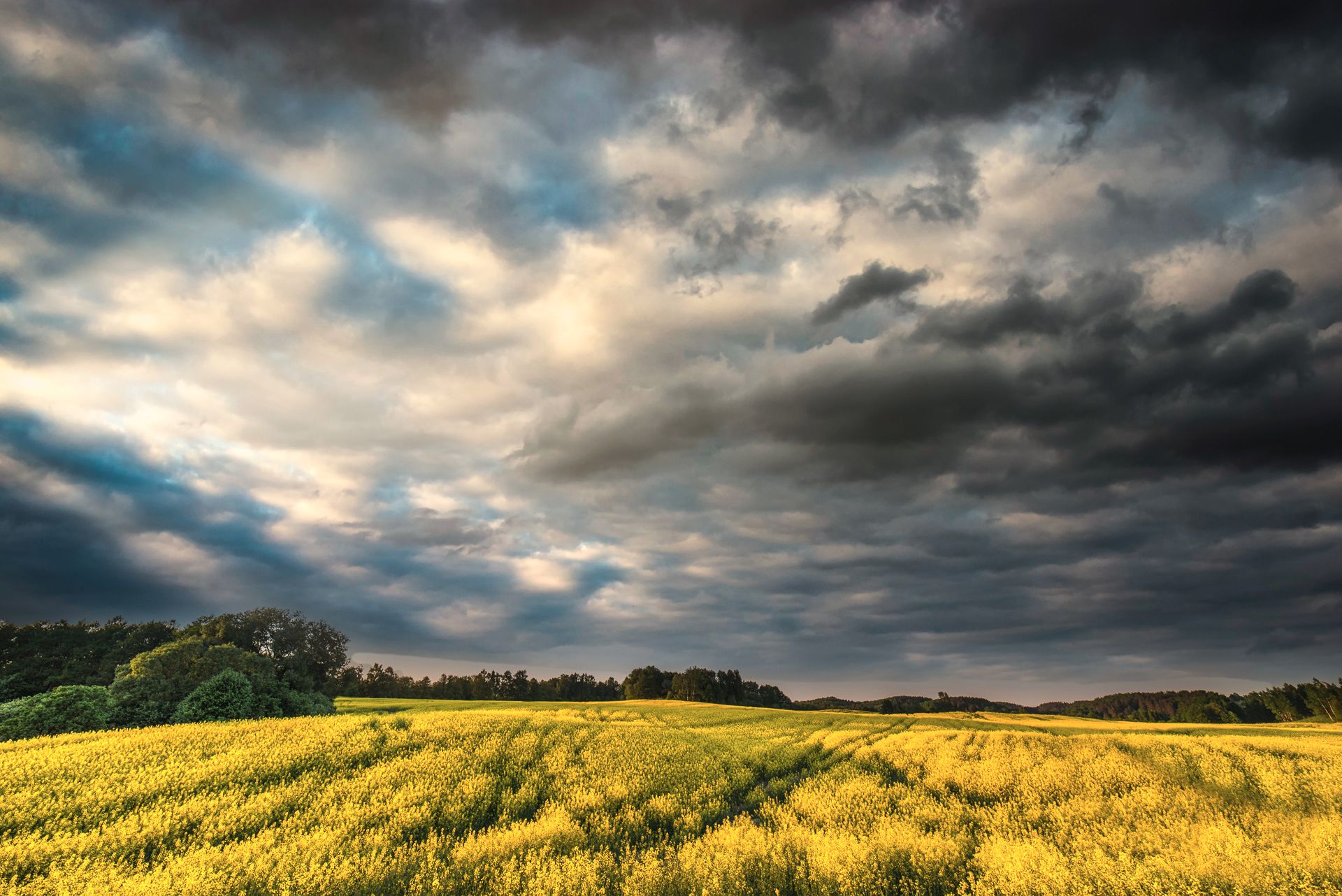 Landscape after the storm