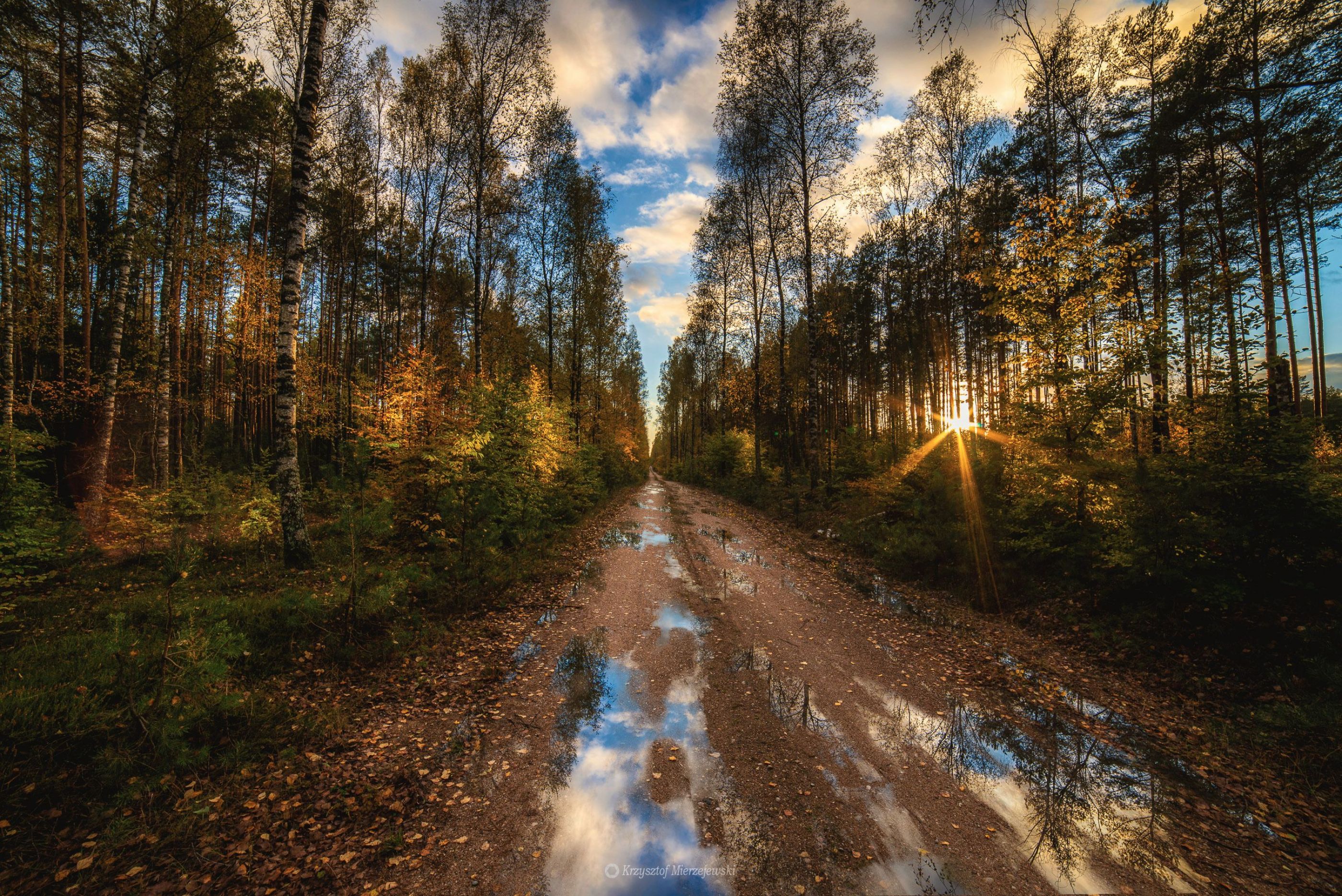 Autumn road