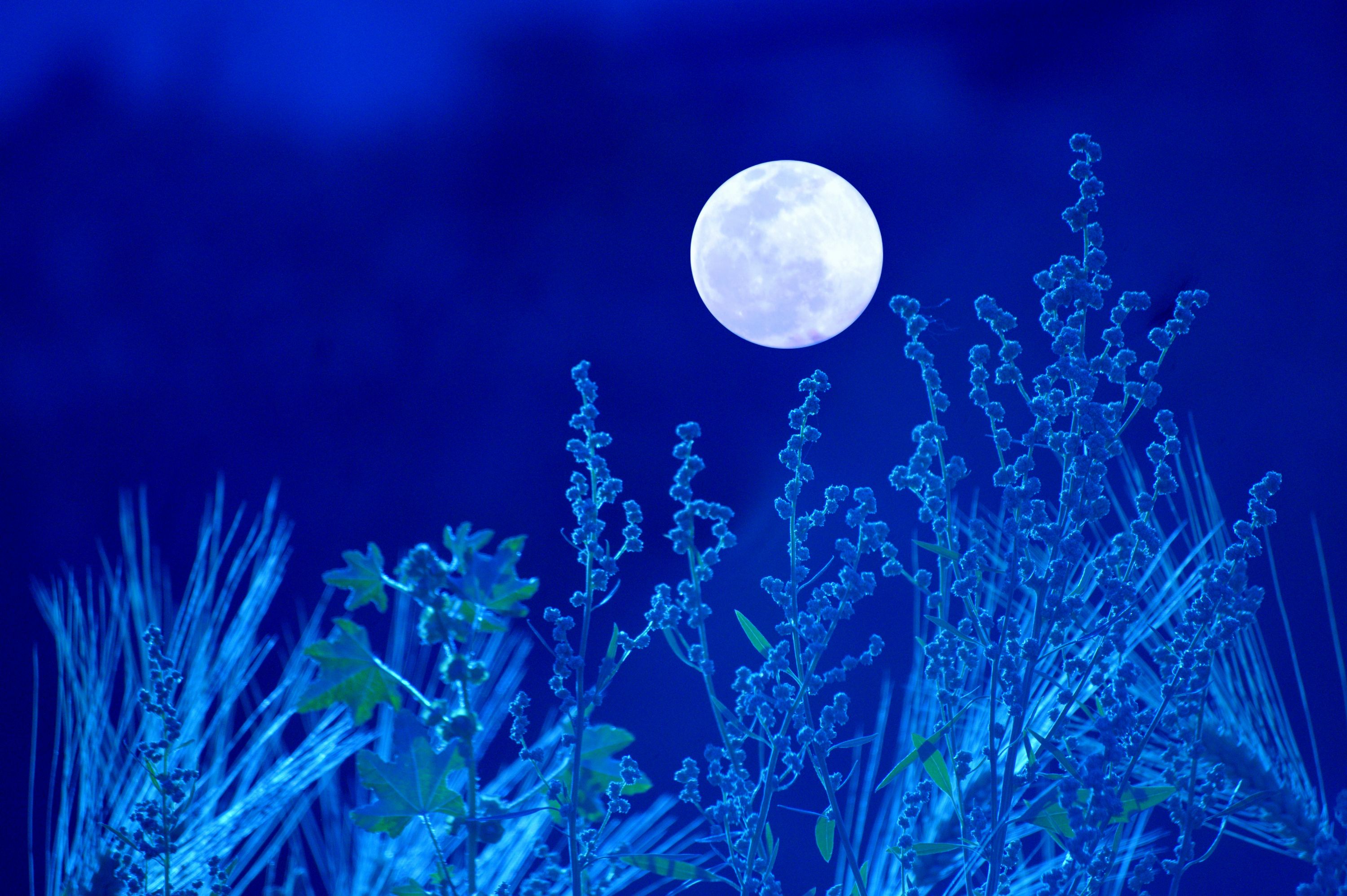 "Luna azul"
