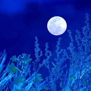 "Luna azul"