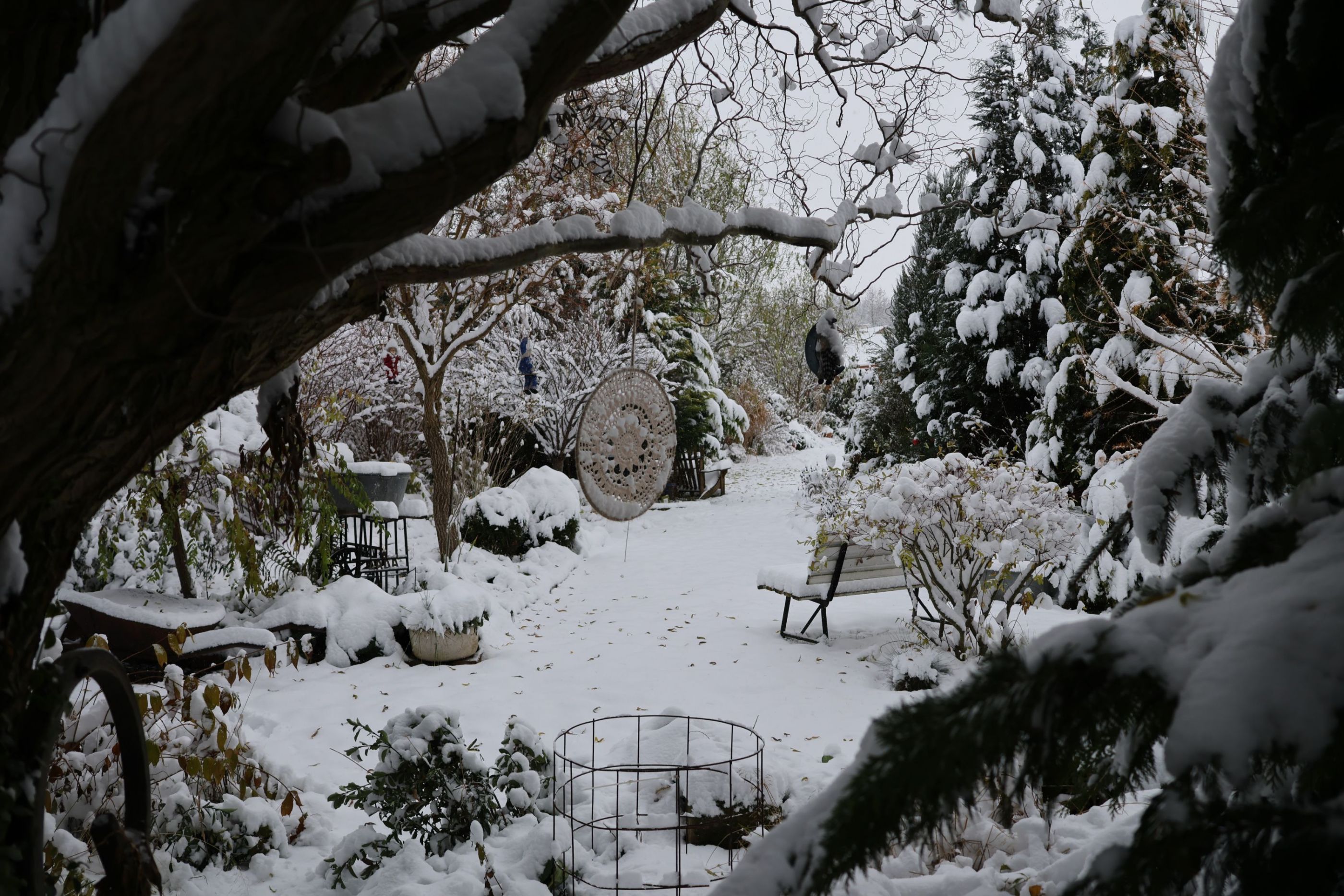 Sněhová nadílka v zahradě