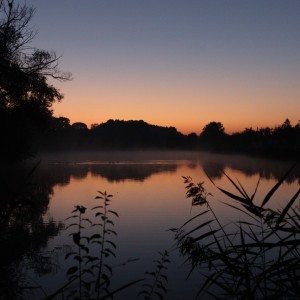 Východ slunce u rybníka 3.