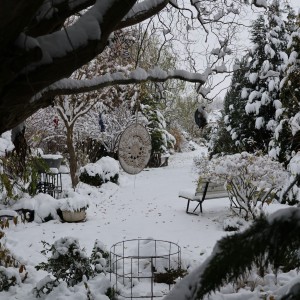 Sněhová nadílka v zahradě