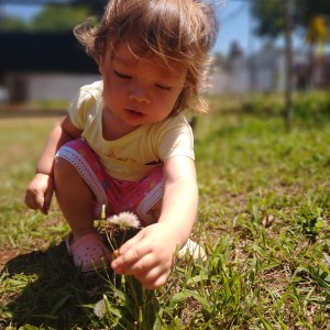 Flor del jardín