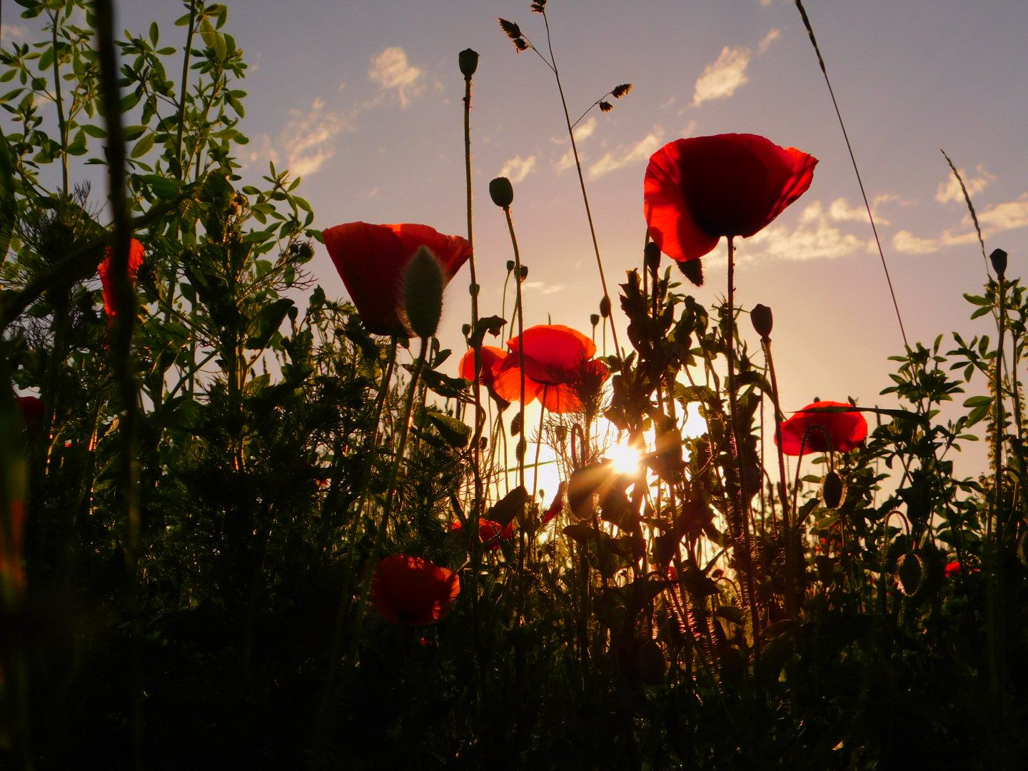 Sonnenuntergang