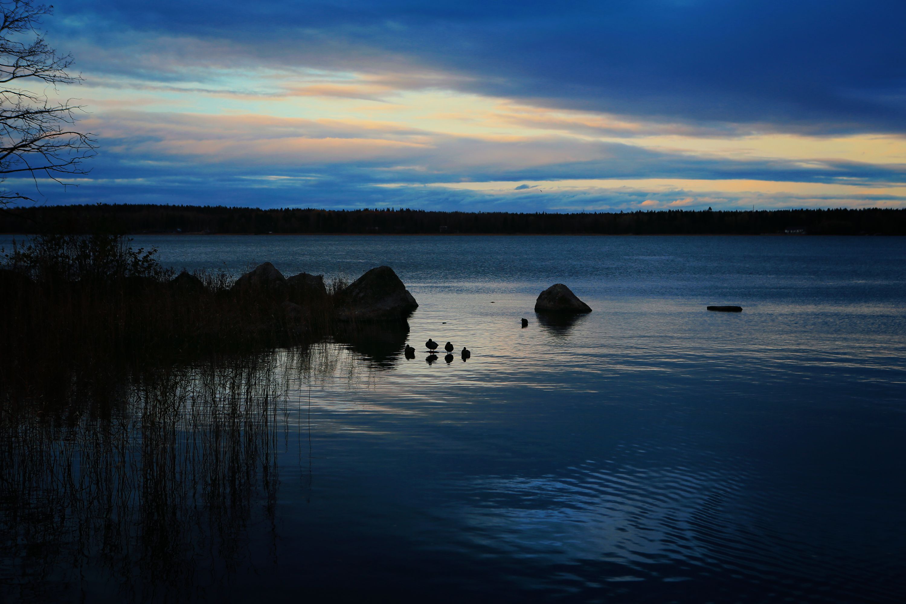 Blue sunset