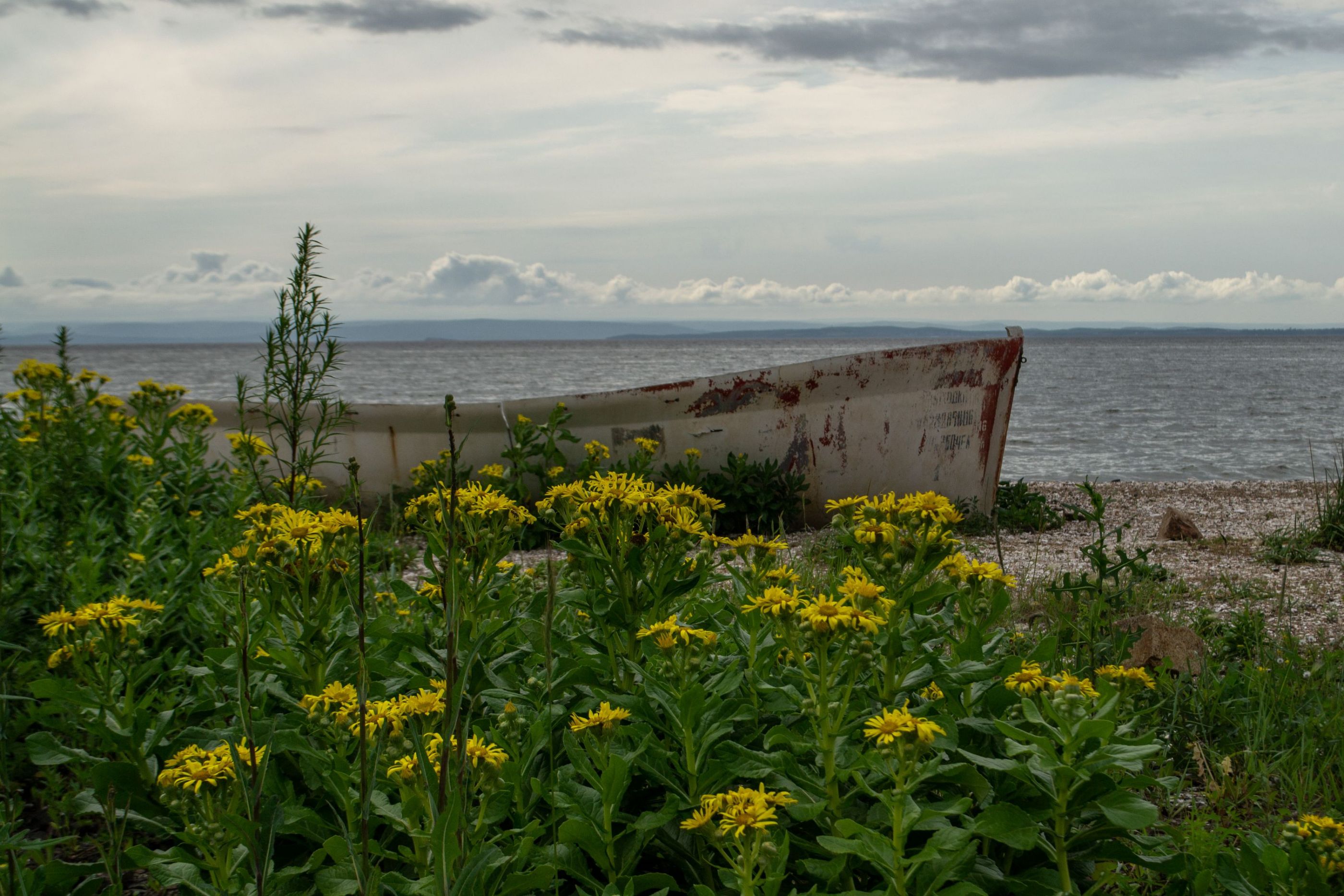 Амурский залив