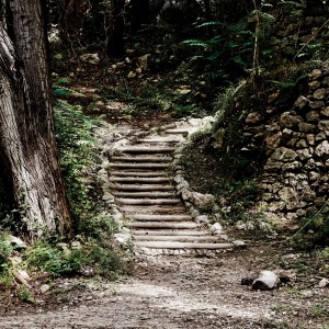 Las escaleras del camino