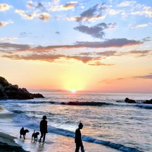 Playa Zicatela- México 🇲🇽❤️