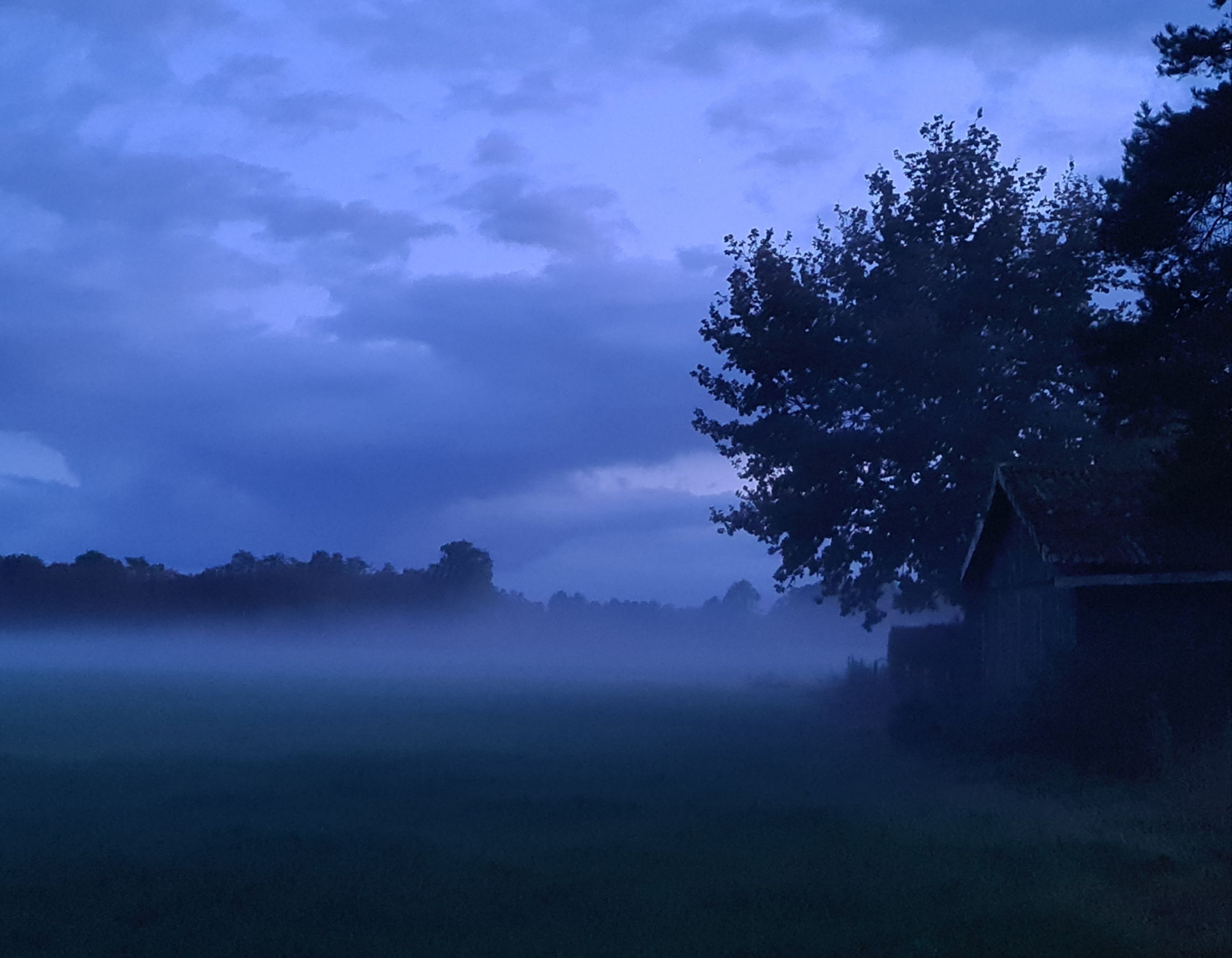 Feld im Nebel bei Nacht