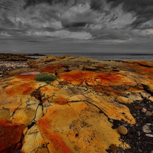 Красные камни Баренцева моря.