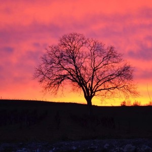 Coucher de soleil