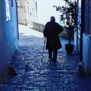 Casbah. Alger.Algeria